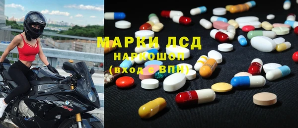 прущие грибы Майский