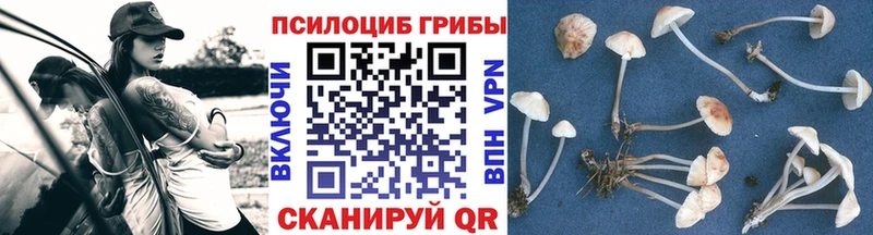Псилоцибиновые грибы GOLDEN TEACHER  Новый Оскол 